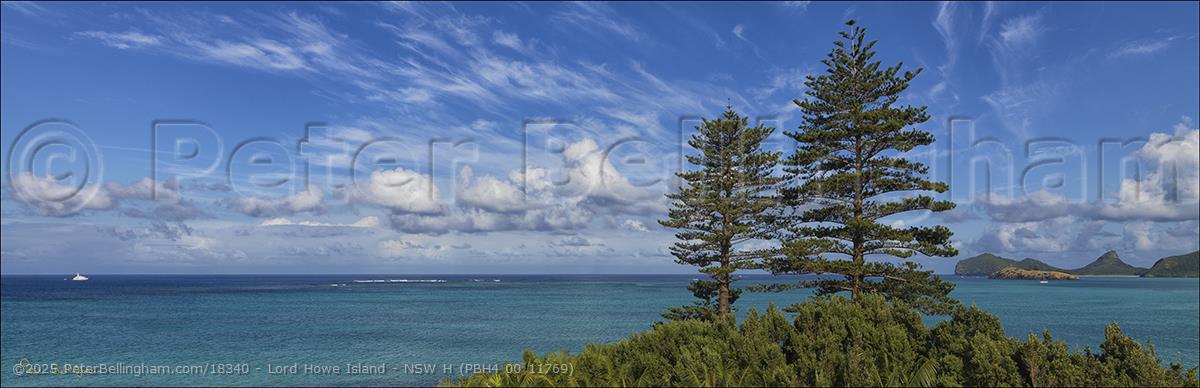 Peter Bellingham Photography Lord Howe Island - NSW H (PBH4 00 11769)
